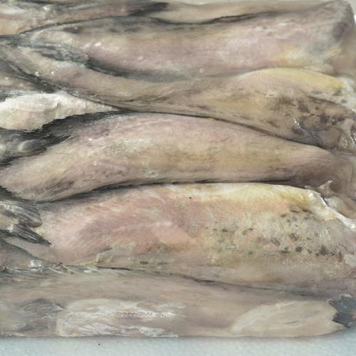 冷冻鱼厂家冷冻海产品新鲜海产品批发